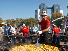 Покровская ярмарка 2011